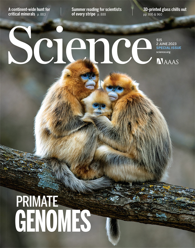 Science封面文章:开云app网站金丝猴研究团队首次系统揭示灵长类社会演化之谜_fororder_《自然》封面.JPG