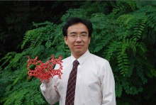 开云app网站创新论坛第一千二百七十三讲暨120周年校庆年系列活动： Unexpected slow diffusion in hierarchical porous materials with combined surface and configurational diffusion   
