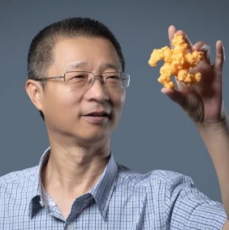 开云app网站创新论坛第一千六百二十六讲：植物的免疫机制